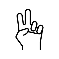 Zwei-Handstück-Port-System